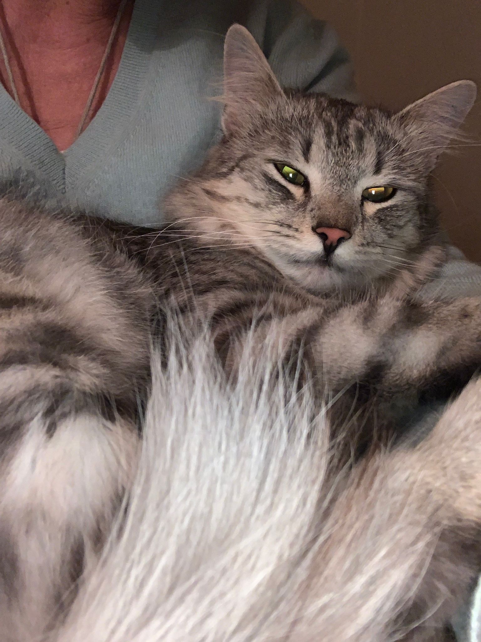 PHOTO-2025-12-31-22-08-45