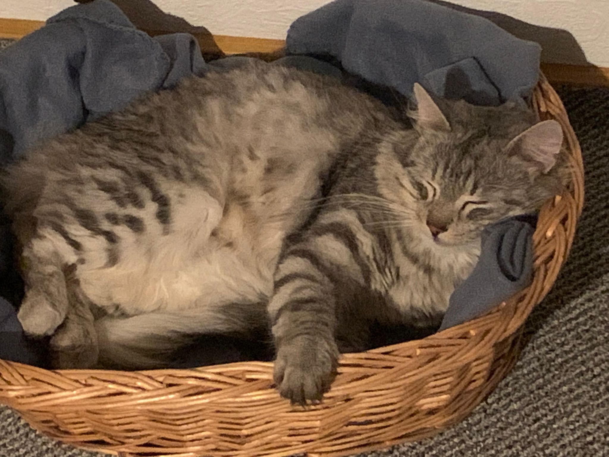 PHOTO-2026-01-13-20-50-53 (2)