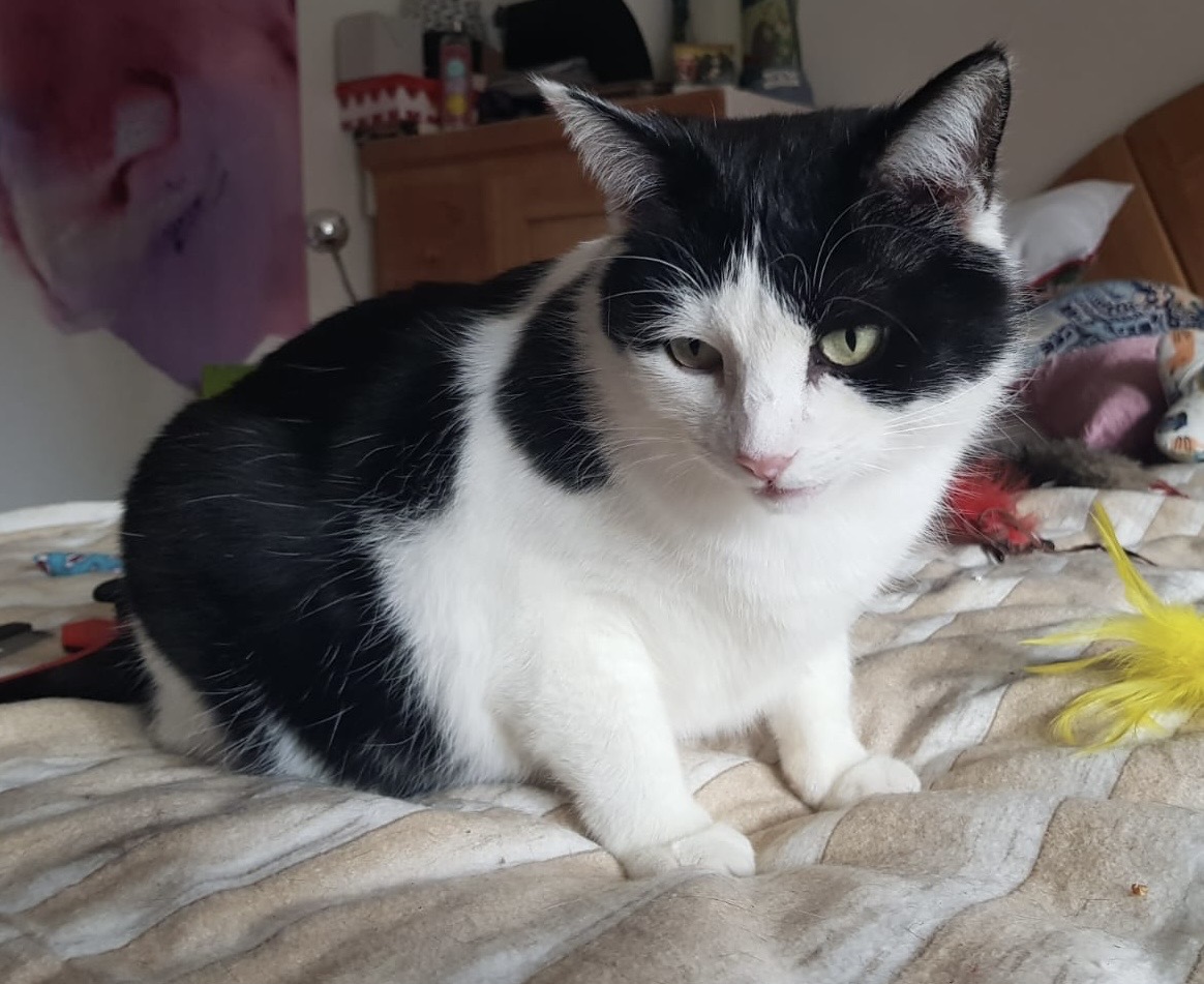 d7d2edb9-8180-4548-84c2-4b47d3f470c5