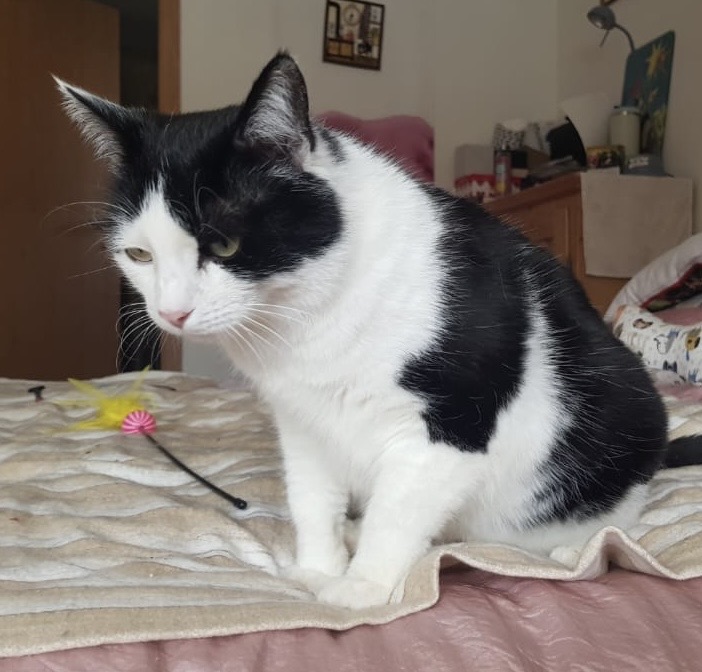 dd79f756-e57b-4546-b31b-f1770f2492e7