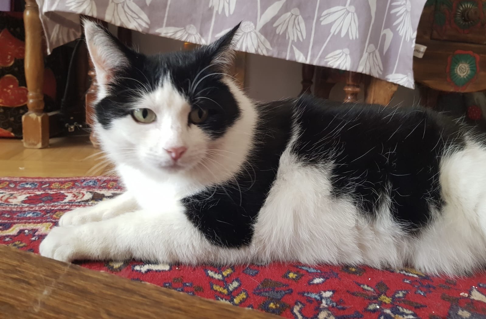 edd68481-d47e-4365-b884-6795f6ed5c64