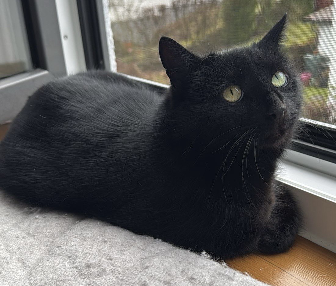 photo_10_2026-02-24_21-52-49