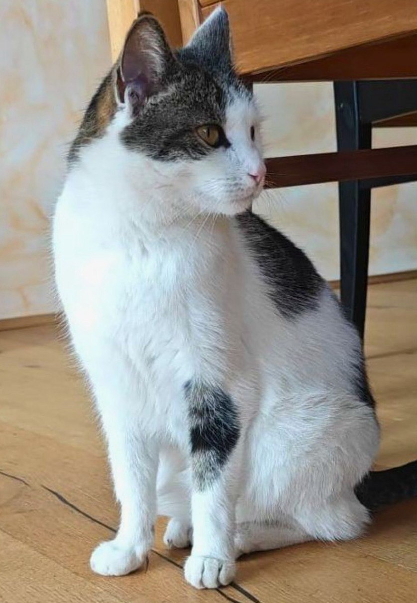 photo_2026-02-24_21-33-00