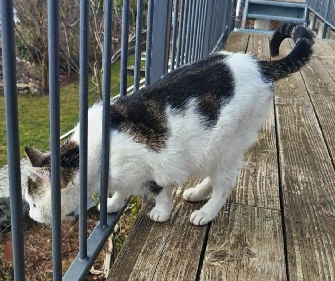 photo_2026-02-24_21-33-03