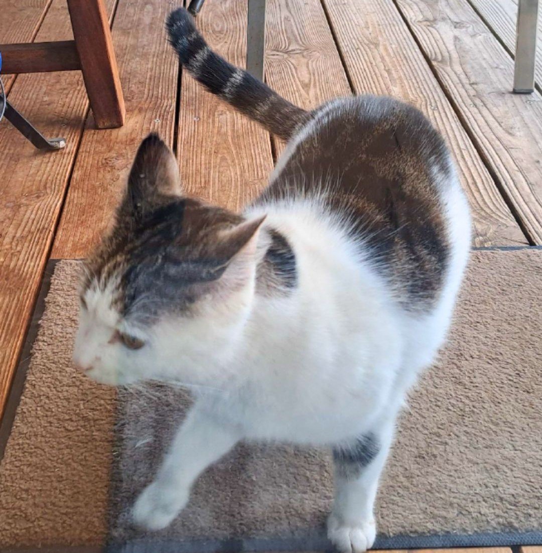 photo_2026-02-24_21-33-04