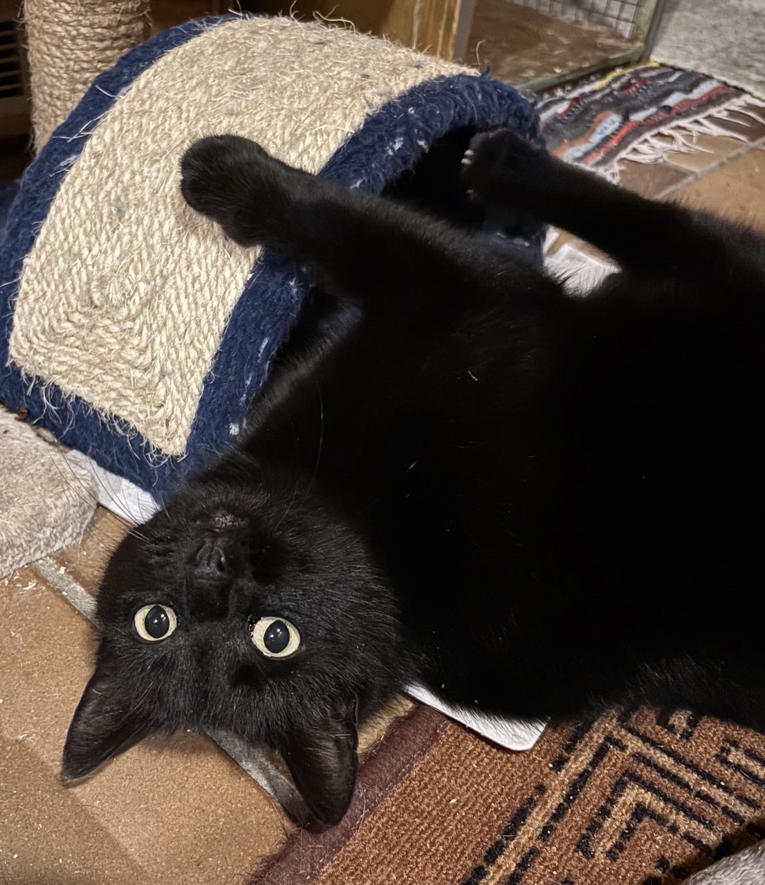 photo_6_2026-02-24_21-52-49