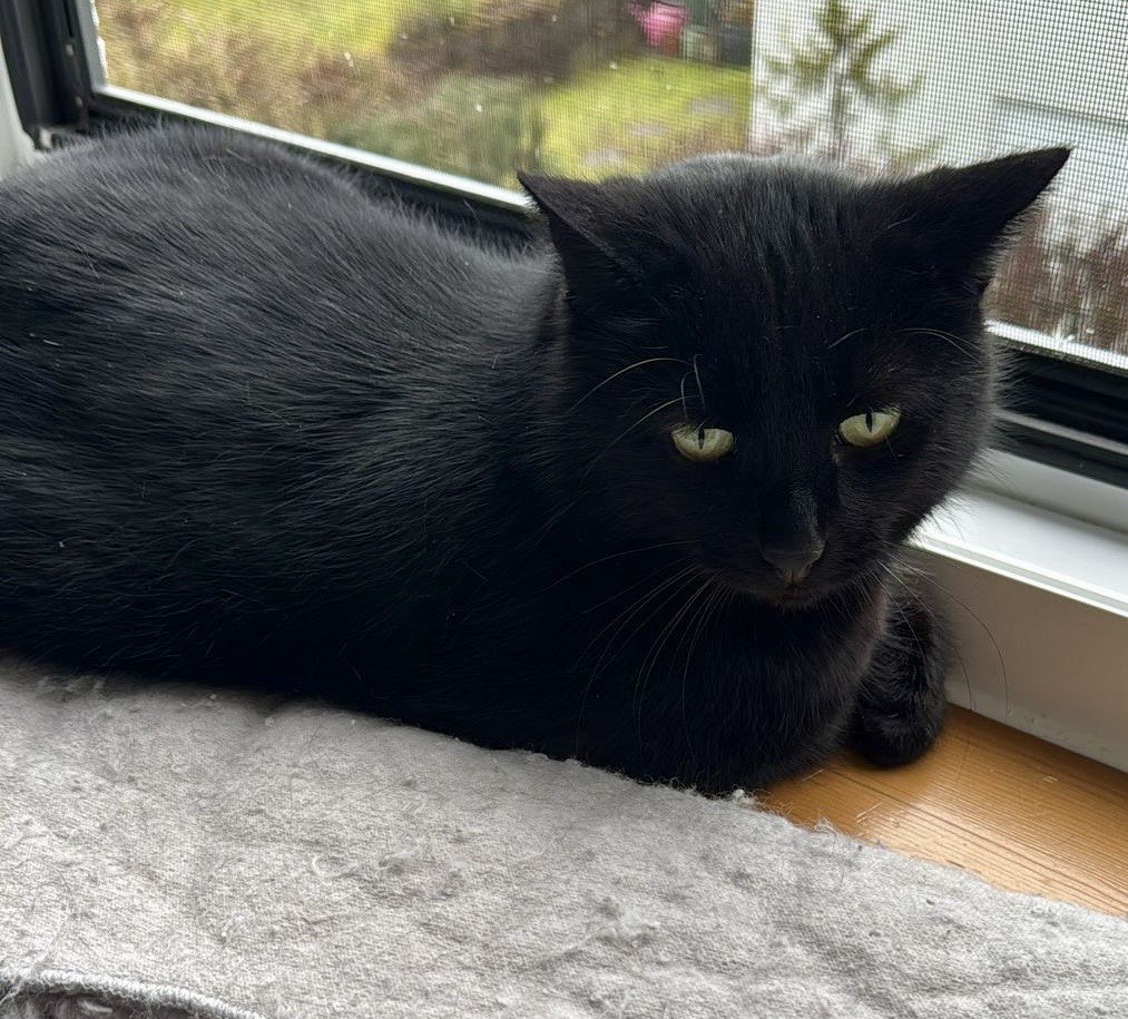 photo_9_2026-02-24_21-52-49