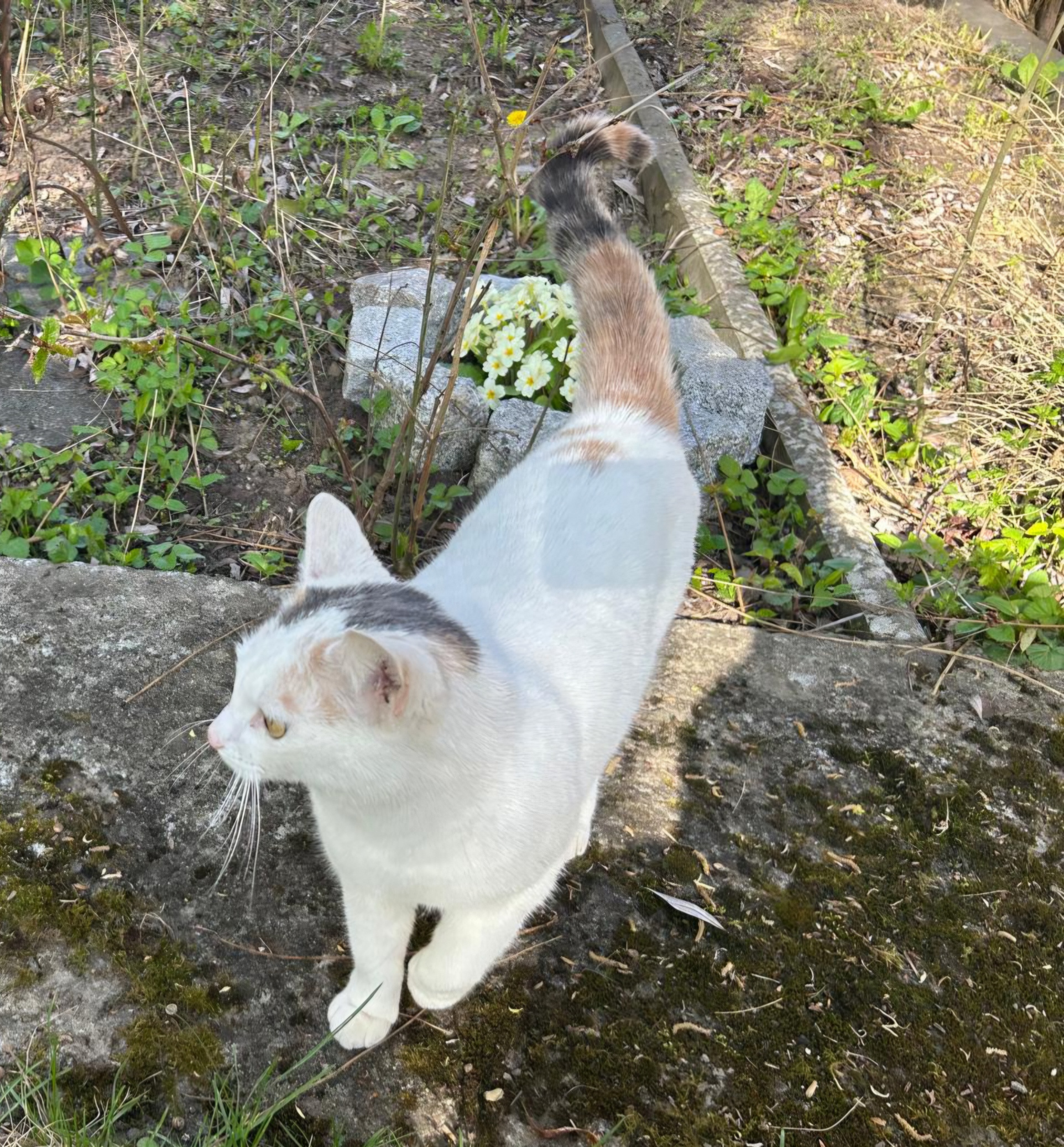 IMG-20260411-WA0025_resized