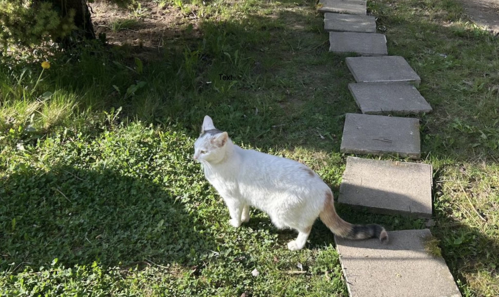 IMG-20260411-WA0026_resized