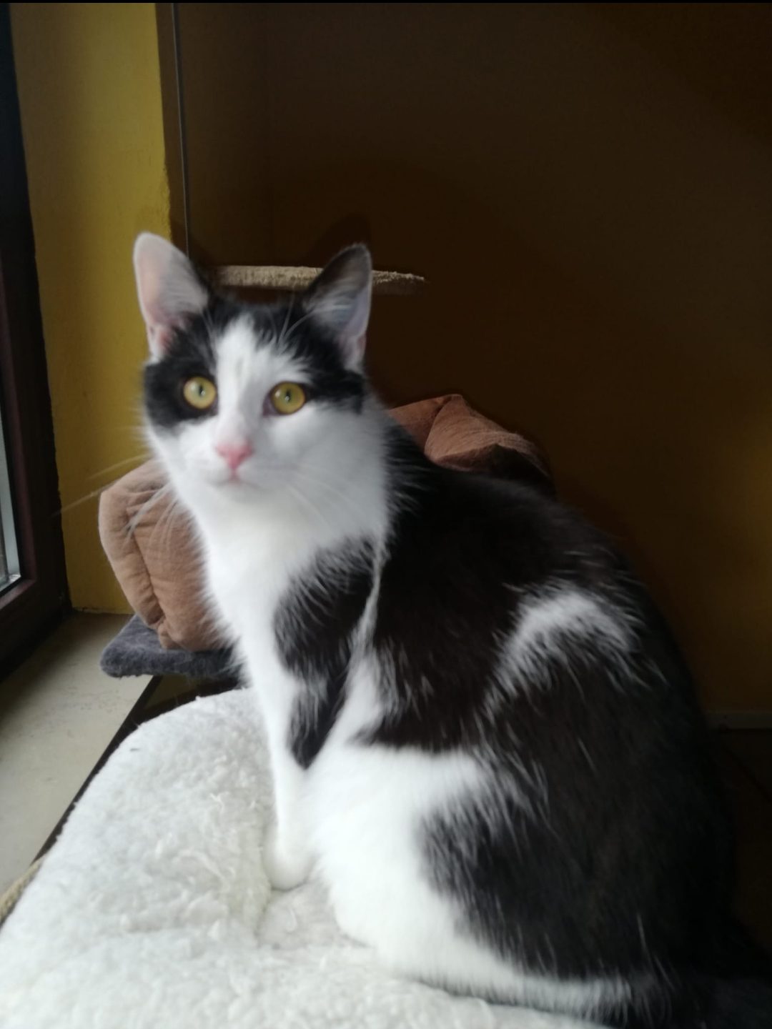 Screenshot_20260402_151406_WhatsApp