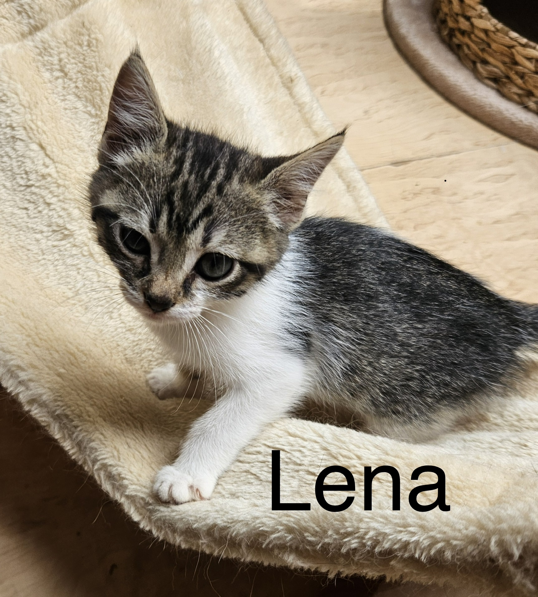 Lena (1)