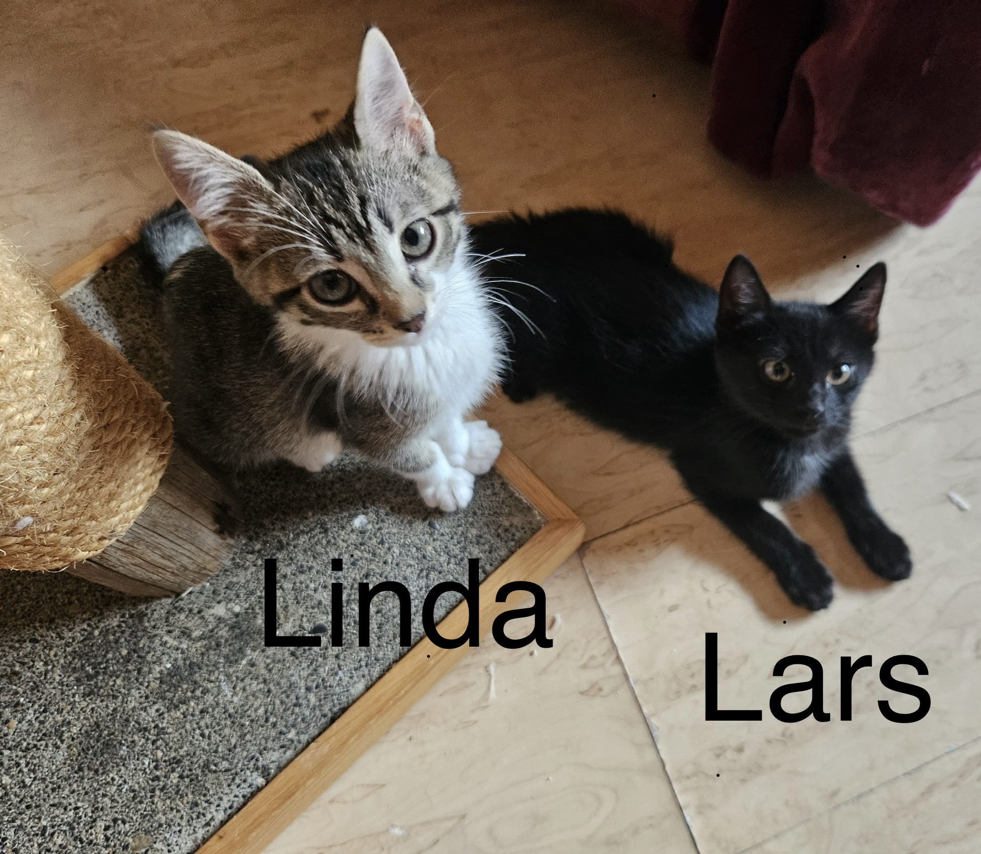 Linda & Lars